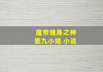 魔帝缠身之神医九小姐 小说